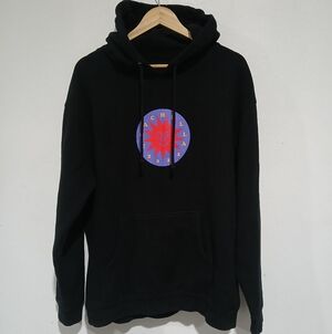 Coachella 2022 Unisex hoodie Size: L